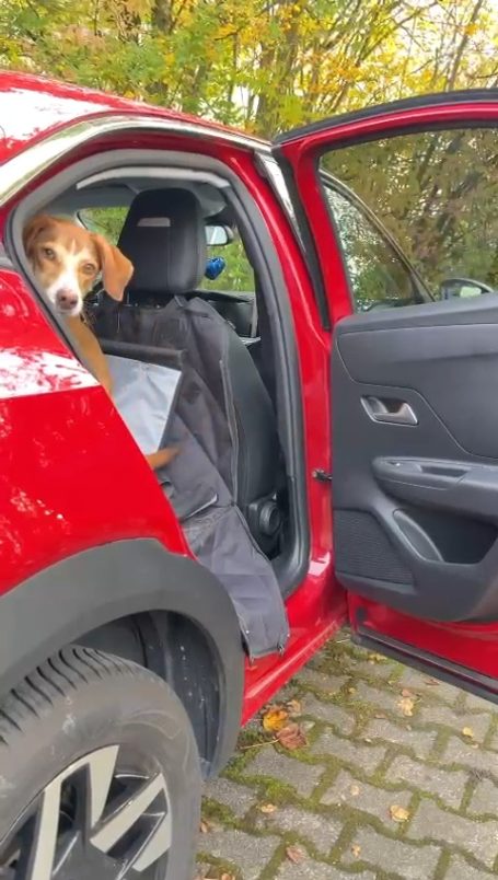 Ins Auto hüpfen Ins Auto hüpfen