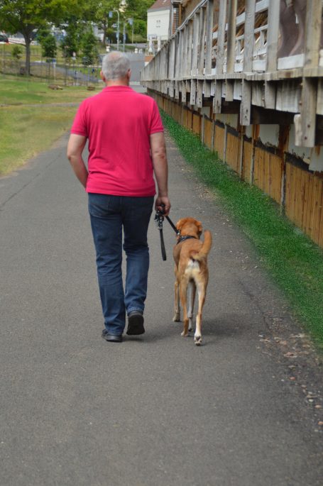 Portraitfotografie bei Lenny’s Lerntreff - Die freundliche Hundeschule mit Herz 